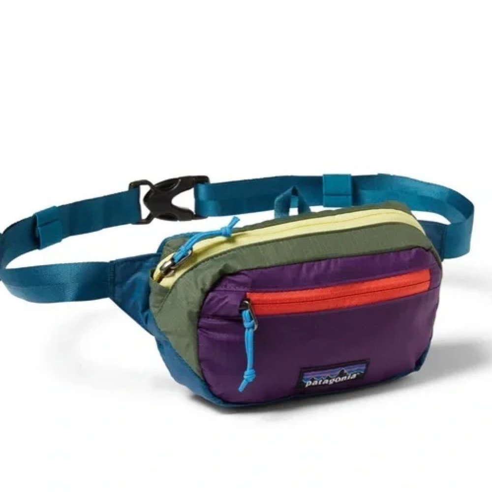 Patagonia Ultralight Black Hole Mini Hip Pack 1L